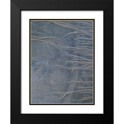 Sand Fibers II Black Modern Wood Framed Art Print with Double Matting by Grayscale