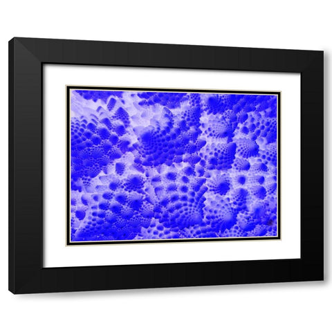 Fractal Clouds II Black Modern Wood Framed Art Print with Double Matting by Grayscale