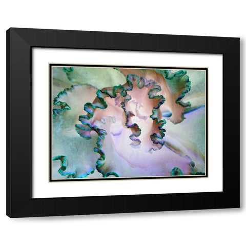 Green Ribbons II Black Modern Wood Framed Art Print with Double Matting by Grayscale