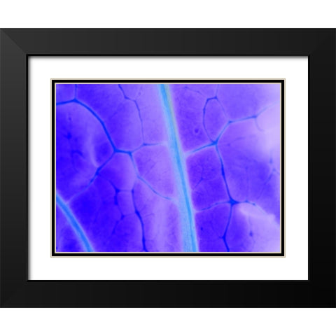 Turquoise Ridge I Black Modern Wood Framed Art Print with Double Matting by Grayscale