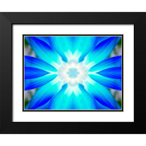 Flower Medallion V Black Modern Wood Framed Art Print with Double Matting by Grayscale