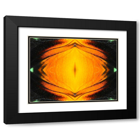 Butterfly Eye I Black Modern Wood Framed Art Print with Double Matting by Grayscale