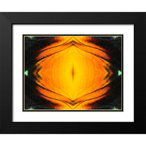Butterfly Eye I Black Modern Wood Framed Art Print with Double Matting by Grayscale