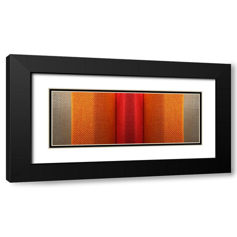 Fabric XVI Black Modern Wood Framed Art Print with Double Matting by Grayscale