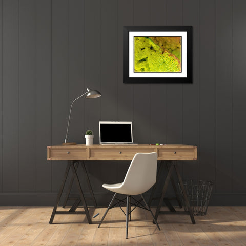 BioRidge I Black Modern Wood Framed Art Print with Double Matting by Grayscale