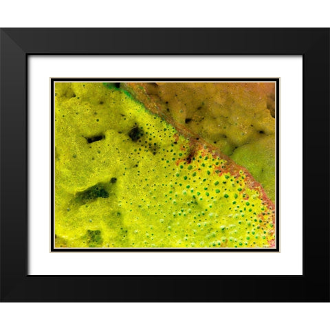 BioRidge I Black Modern Wood Framed Art Print with Double Matting by Grayscale