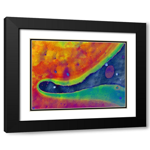 Bio Rainbow I Black Modern Wood Framed Art Print with Double Matting by Grayscale