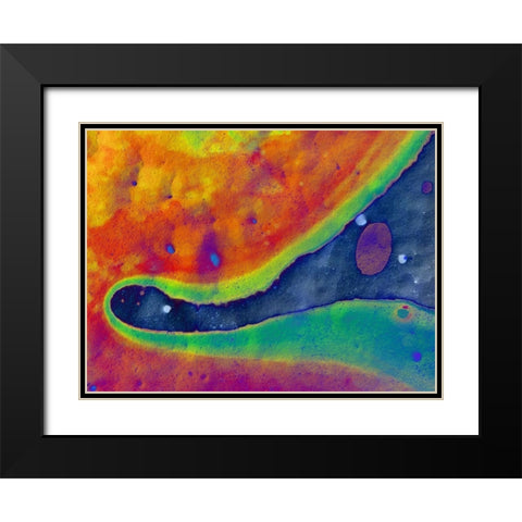 Bio Rainbow I Black Modern Wood Framed Art Print with Double Matting by Grayscale