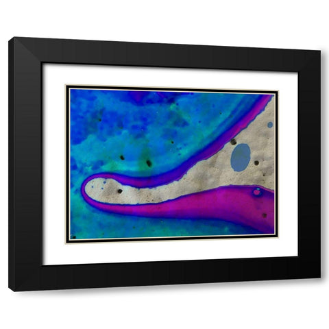 Bio Rainbow Ib Black Modern Wood Framed Art Print with Double Matting by Grayscale