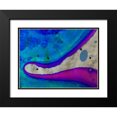 Bio Rainbow Ib Black Modern Wood Framed Art Print with Double Matting by Grayscale