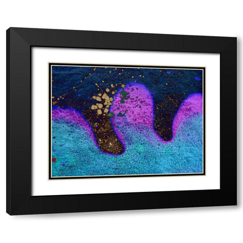 Bio Rainbow II Black Modern Wood Framed Art Print with Double Matting by Grayscale