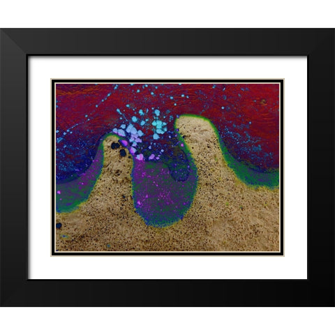 Bio Rainbow III Black Modern Wood Framed Art Print with Double Matting by Grayscale