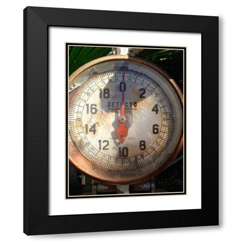 Scale Face Black Modern Wood Framed Art Print with Double Matting by Grayscale