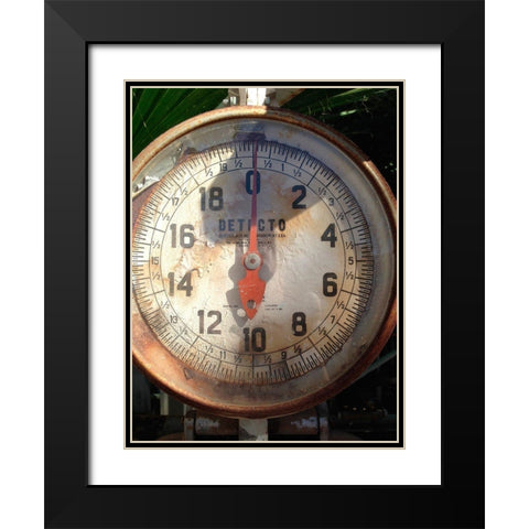 Scale Face Black Modern Wood Framed Art Print with Double Matting by Grayscale