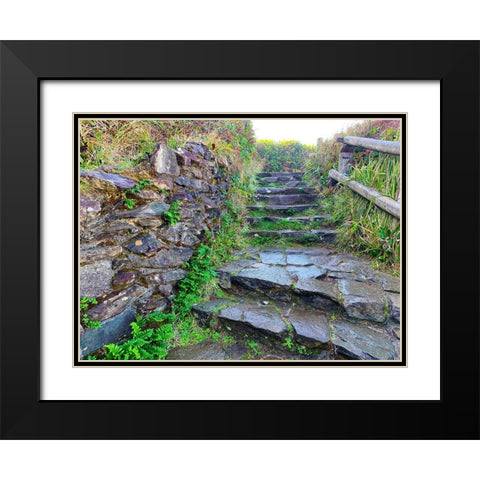 Stone Stairs II Black Modern Wood Framed Art Print with Double Matting by Grayscale