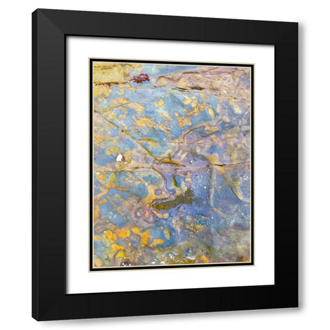 Oxidized Sand I Black Modern Wood Framed Art Print with Double Matting by Grayscale