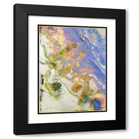 Oxidized Sand II Black Modern Wood Framed Art Print with Double Matting by Grayscale