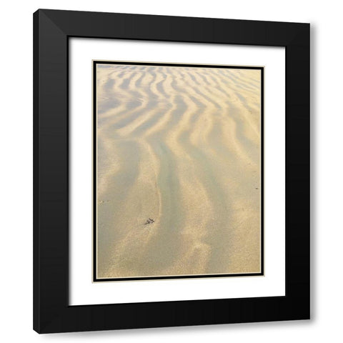 Sand Prints VI Black Modern Wood Framed Art Print with Double Matting by Grayscale
