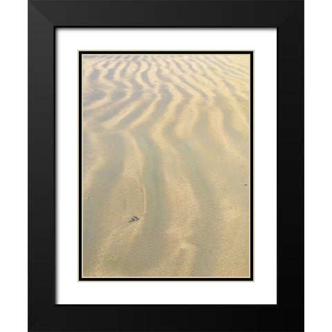 Sand Prints VI Black Modern Wood Framed Art Print with Double Matting by Grayscale