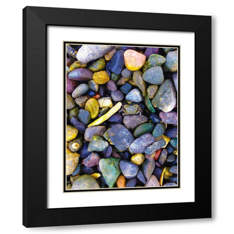 Natural Camo I Black Modern Wood Framed Art Print with Double Matting by Grayscale