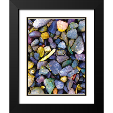 Natural Camo I Black Modern Wood Framed Art Print with Double Matting by Grayscale