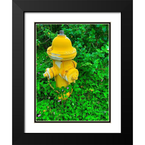 Cozy Hydrant Black Modern Wood Framed Art Print with Double Matting by Grayscale