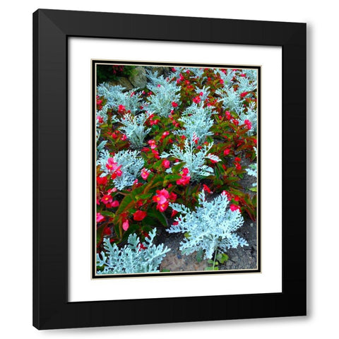 White and Red I Black Modern Wood Framed Art Print with Double Matting by Grayscale