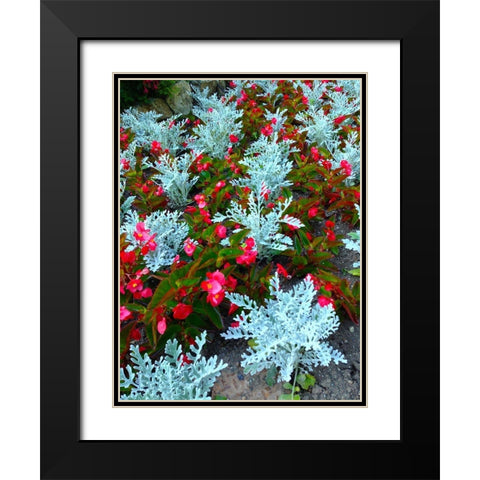 White and Red I Black Modern Wood Framed Art Print with Double Matting by Grayscale