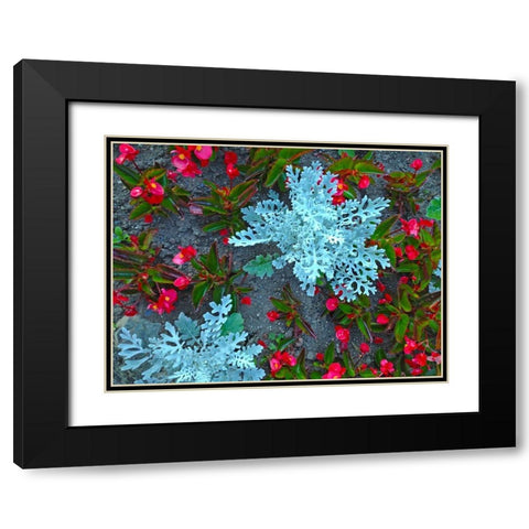 White and Red II Black Modern Wood Framed Art Print with Double Matting by Grayscale
