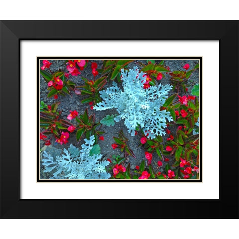 White and Red II Black Modern Wood Framed Art Print with Double Matting by Grayscale