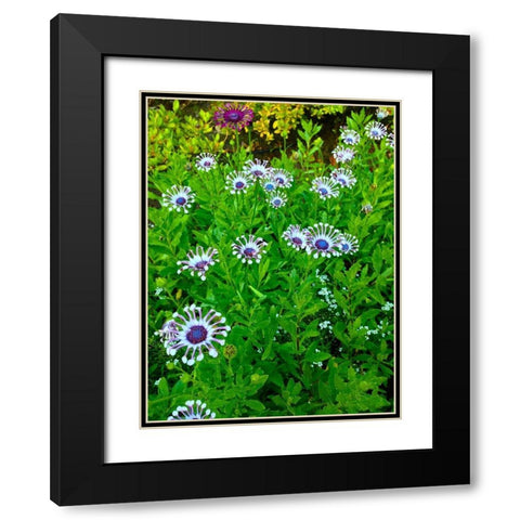 White and Purple I Black Modern Wood Framed Art Print with Double Matting by Grayscale