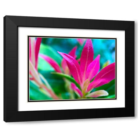 Pink Leaves I Black Modern Wood Framed Art Print with Double Matting by Grayscale