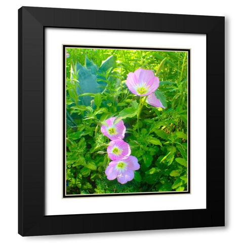 Geraniums I Black Modern Wood Framed Art Print with Double Matting by Grayscale