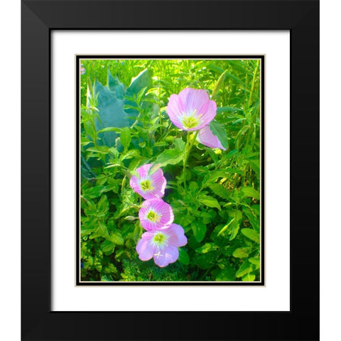 Geraniums I Black Modern Wood Framed Art Print with Double Matting by Grayscale