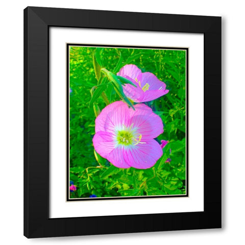 Geraniums II Black Modern Wood Framed Art Print with Double Matting by Grayscale
