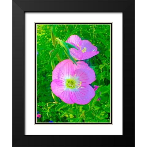 Geraniums II Black Modern Wood Framed Art Print with Double Matting by Grayscale