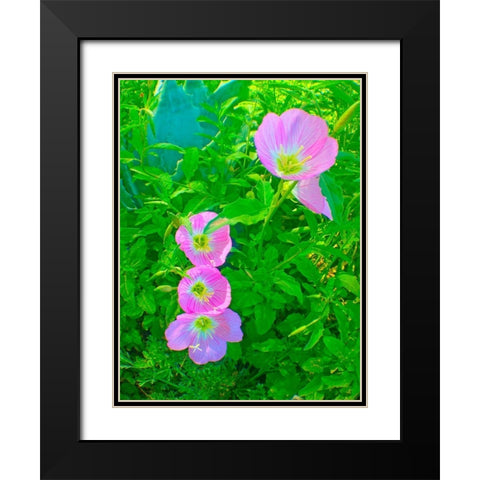 Geraniums III Black Modern Wood Framed Art Print with Double Matting by Grayscale