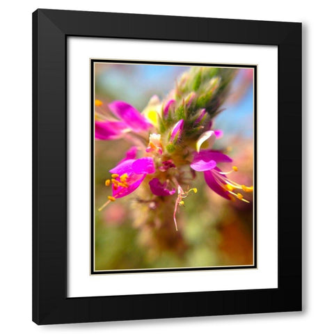 Exploding Buds I Black Modern Wood Framed Art Print with Double Matting by Grayscale