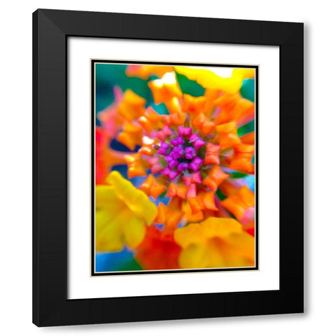 Kaleidoscope V Black Modern Wood Framed Art Print with Double Matting by Grayscale