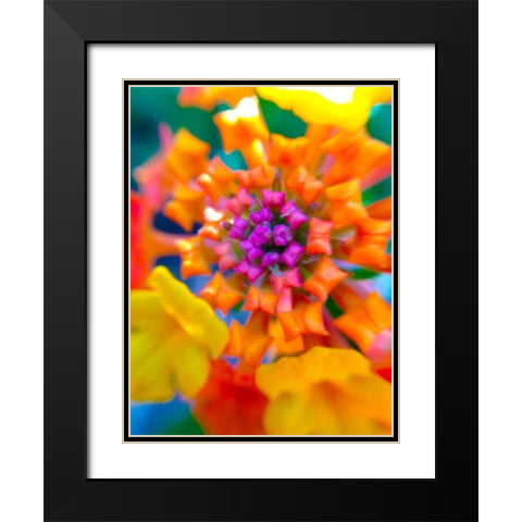 Kaleidoscope V Black Modern Wood Framed Art Print with Double Matting by Grayscale