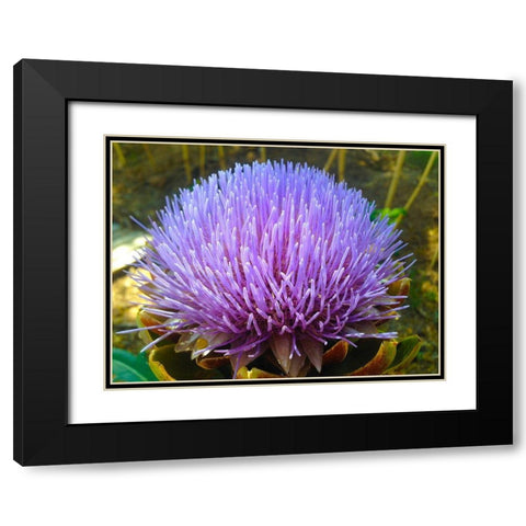 Purple Fingers I Black Modern Wood Framed Art Print with Double Matting by Grayscale