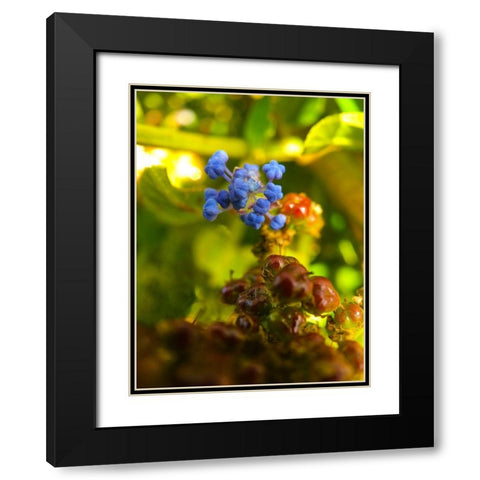 Waking Wildflowers I Black Modern Wood Framed Art Print with Double Matting by Grayscale