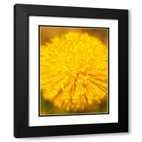 Yellow Ball I Black Modern Wood Framed Art Print with Double Matting by Grayscale