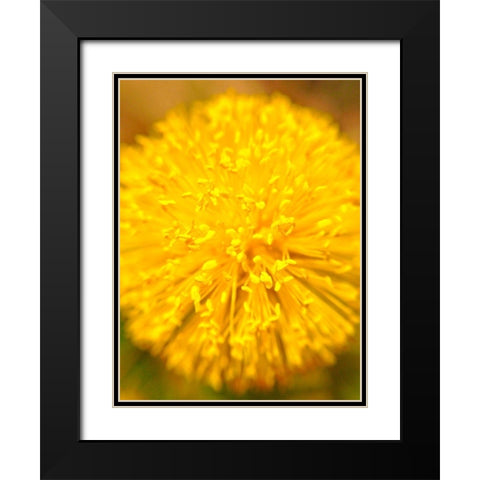 Yellow Ball I Black Modern Wood Framed Art Print with Double Matting by Grayscale