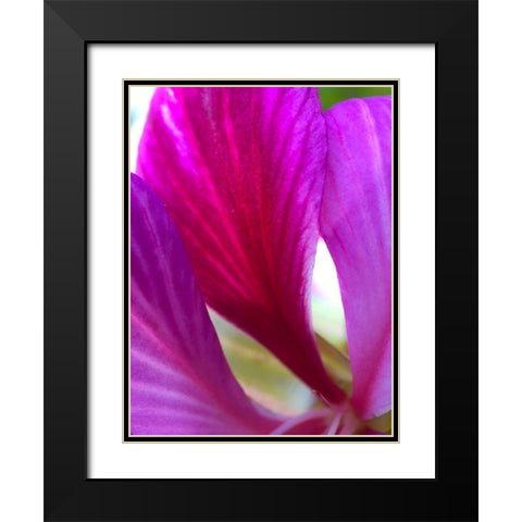 Pink Leaves II Black Modern Wood Framed Art Print with Double Matting by Grayscale