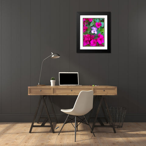 Snail Bloom I Black Modern Wood Framed Art Print with Double Matting by Grayscale