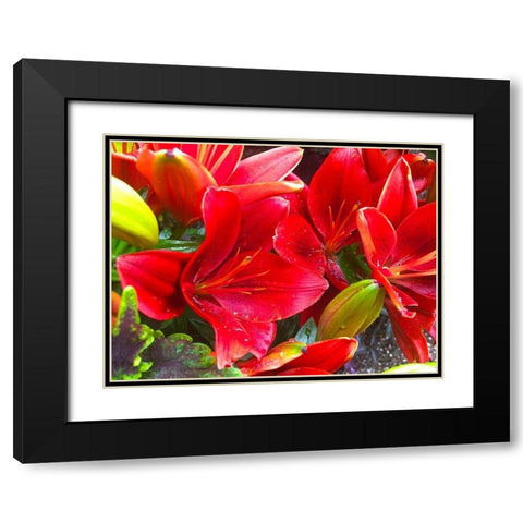 Wet Blooms I Black Modern Wood Framed Art Print with Double Matting by Grayscale