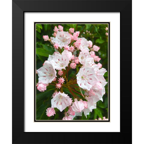 Parachutes I Black Modern Wood Framed Art Print with Double Matting by Grayscale