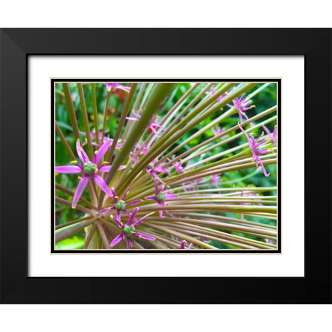 Spines I Black Modern Wood Framed Art Print with Double Matting by Grayscale
