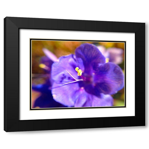 Purple Bloom I Black Modern Wood Framed Art Print with Double Matting by Grayscale